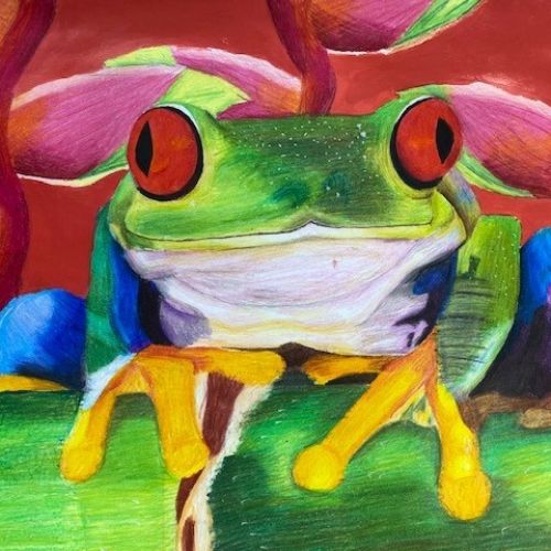 A Celebration of Year 11 Artwork